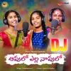 About Avula Yella Navulo DJ Song